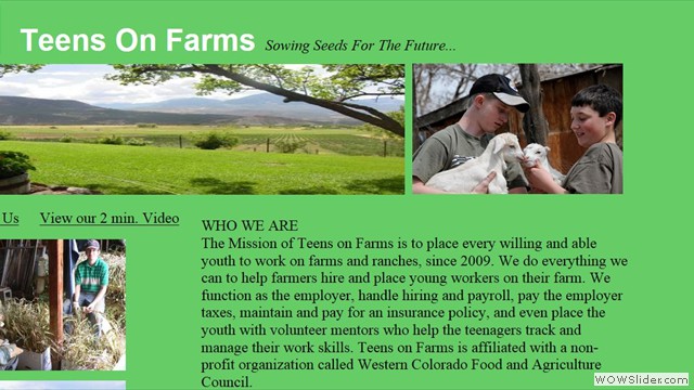 www.teensonfarms.com