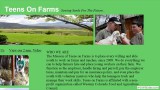 www.teensonfarms.com